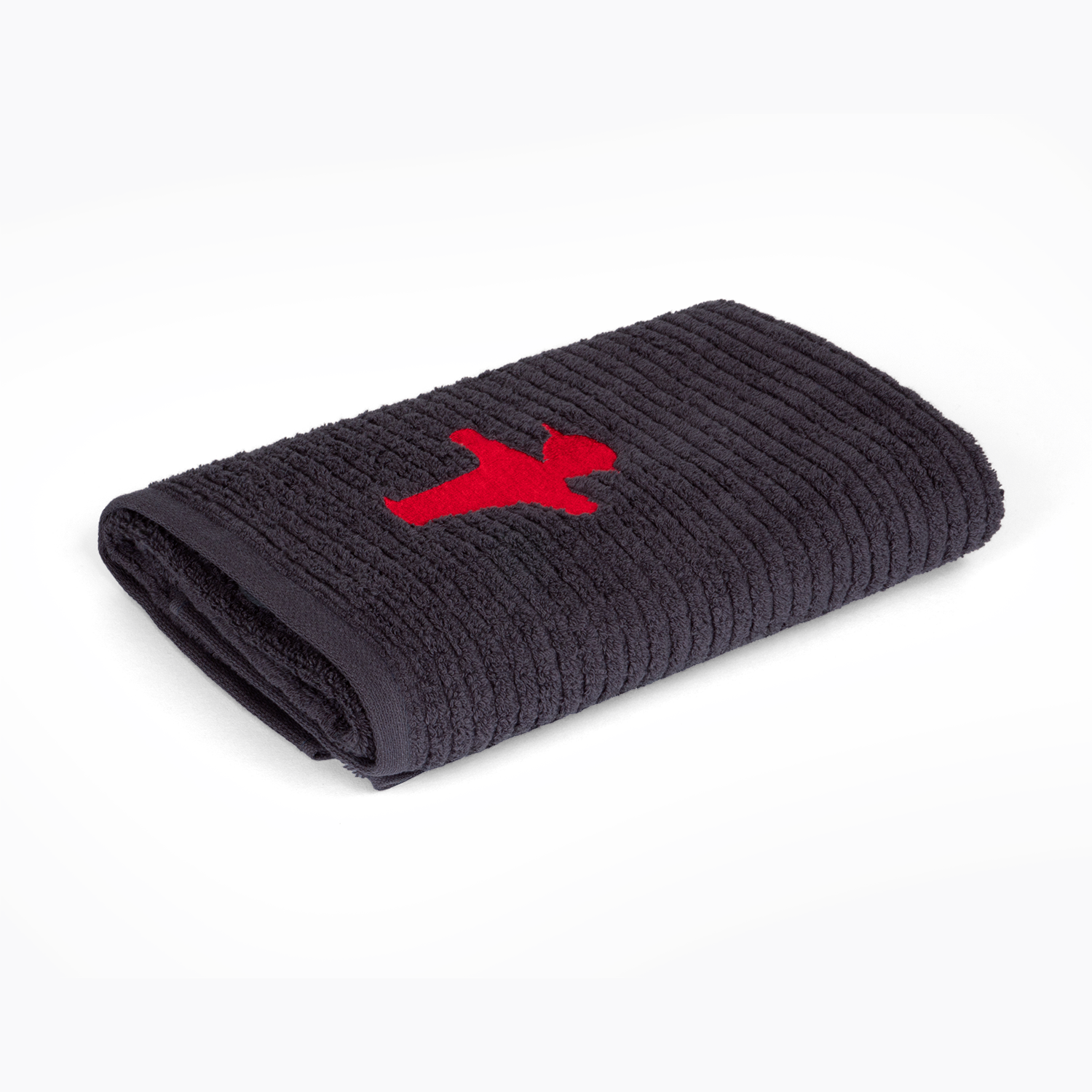 WASSERMANN light grey/ Towel
